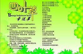 四葉草圖片