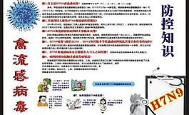 禽流感病毒圖片