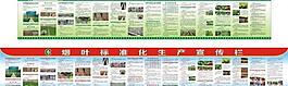 煙葉標準化生產宣傳欄圖片
