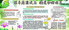 廉政宣传栏图片