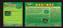 蔬菜廣告圖片