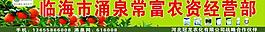 桔子圖片