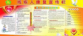 残疾人康复宣传栏图片