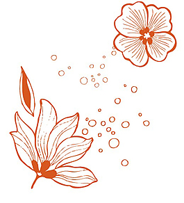 手繪橙色花