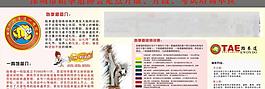 跆拳道海報設(shè)計圖片
