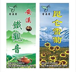 鐵觀音 昆侖雪菊圖片
