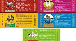 羊 雞 魚 兔子 滋補湯簡介 廣東鍋圖片