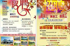 招聘信息圖片