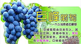葡萄圖片