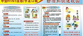 甲型流感圖片