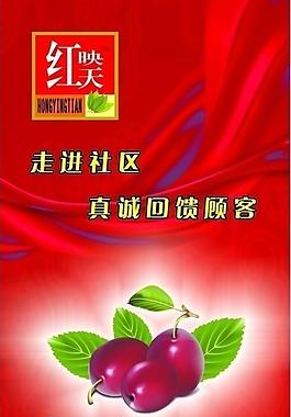 紅棗 宣傳 易拉寶圖片
