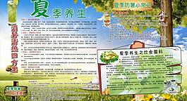 夏季养生图片