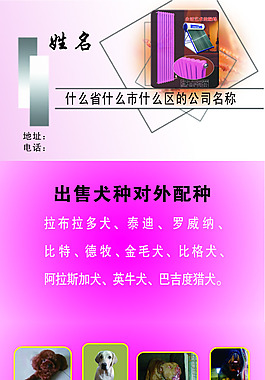 名片设计