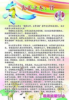 冬季養(yǎng)生（腎）展板圖片