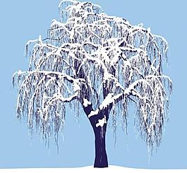 雪地孤樹圖片