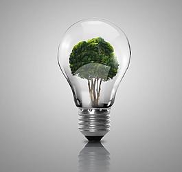 電燈泡圖片