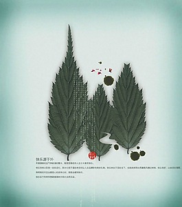 三棵樹房地產(chǎn)廣告