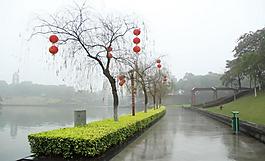 千燈湖公園一角圖片