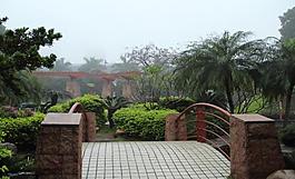 千灯湖公园一角图片