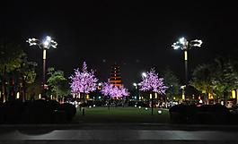 大雁塔夜景圖片