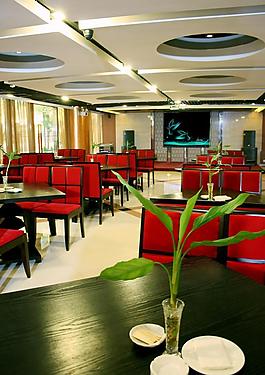 星级酒店餐厅图片