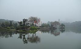 千燈湖公園一角圖片