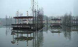 千燈湖公園一角圖片