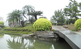 千燈湖公園一角圖片