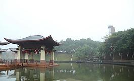 千燈湖公園一角圖片