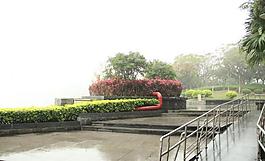 千燈湖公園一角圖片