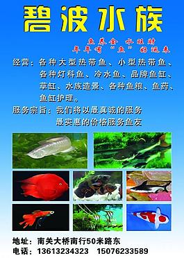 水族宣傳單圖片