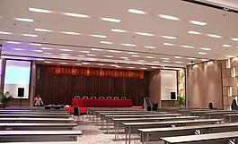 天花燈 會(huì)議室圖片
