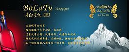 柏拉图灯片图片