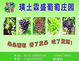 葡萄招牌圖片