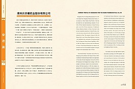 企業(yè)宣傳冊