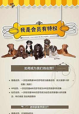 寵物店宣傳海報圖片