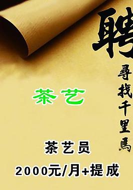 茶楼招聘图片