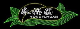 霓虹灯模版图片