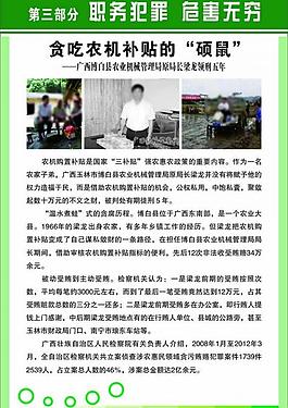 梁龍案 反腐案例圖片
