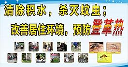 清除積水 殺滅蚊蟲圖片