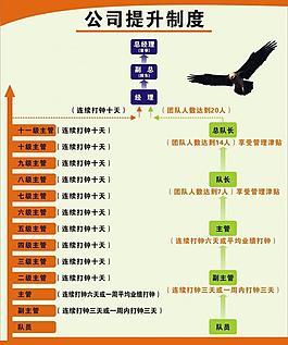 公司提升制度圖片