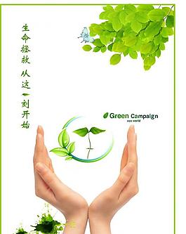 綠色環保圖片