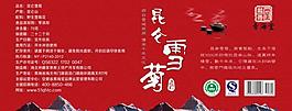 昆侖雪菊圖片