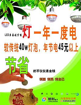 小金豬圖片