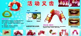 牙齒圖片