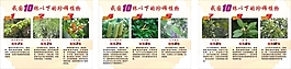 學校展板素材