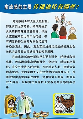 禽流感傳播途徑