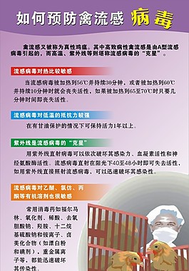 預防禽流感
