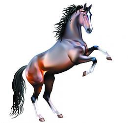 2014馬年素材圖片
