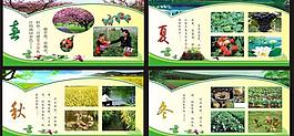 農(nóng)業(yè)生態(tài)宣傳欄圖片